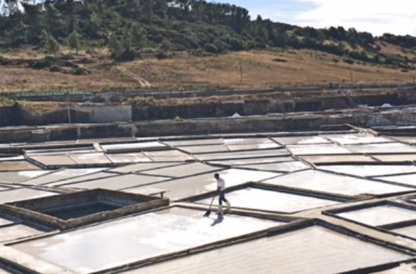 Sal da Terra - Flavoured Salt | From Portugal