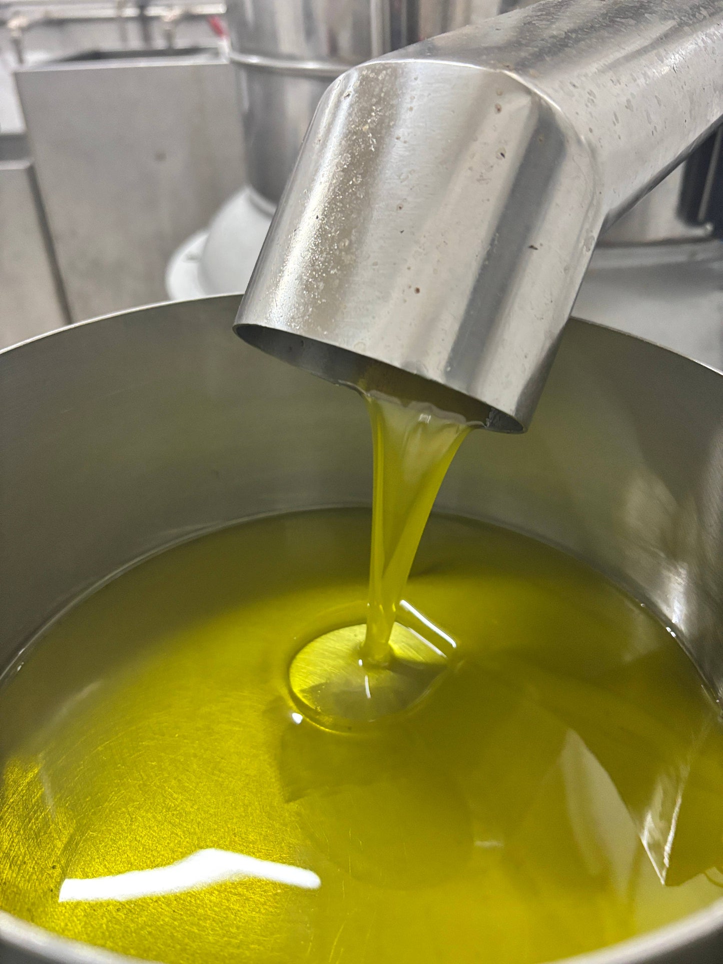 Extra Virgin Olive Oil - Portuguese "Galega" (olive variaty)