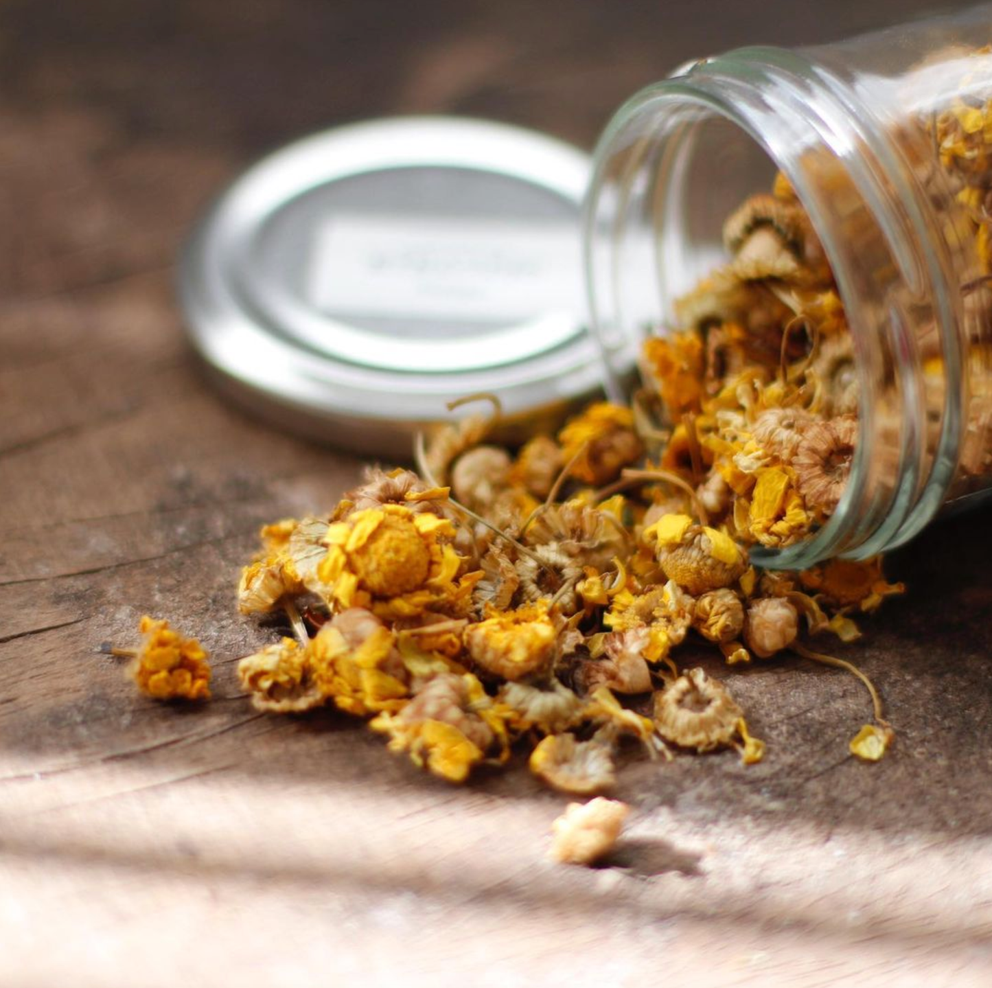 Calêndula Pampilhos Tea | From Portugal
