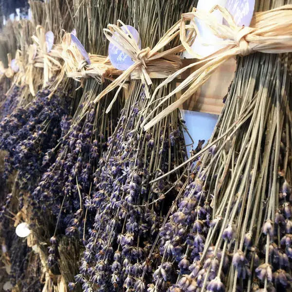 French Blue Lavender Bouquet (80g) [Large Quantity]