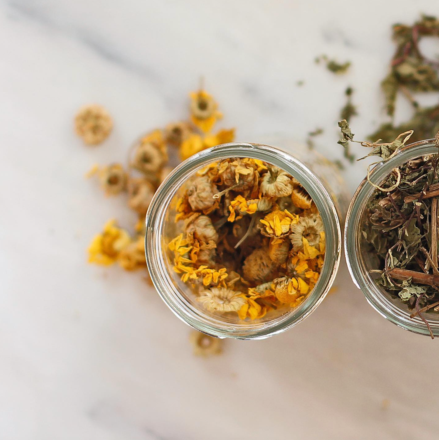 Calêndula Pampilhos Tea | From Portugal