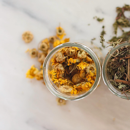 Calêndula Pampilhos Tea | From Portugal