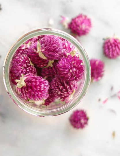 Purple Globe Tea | From Portugal