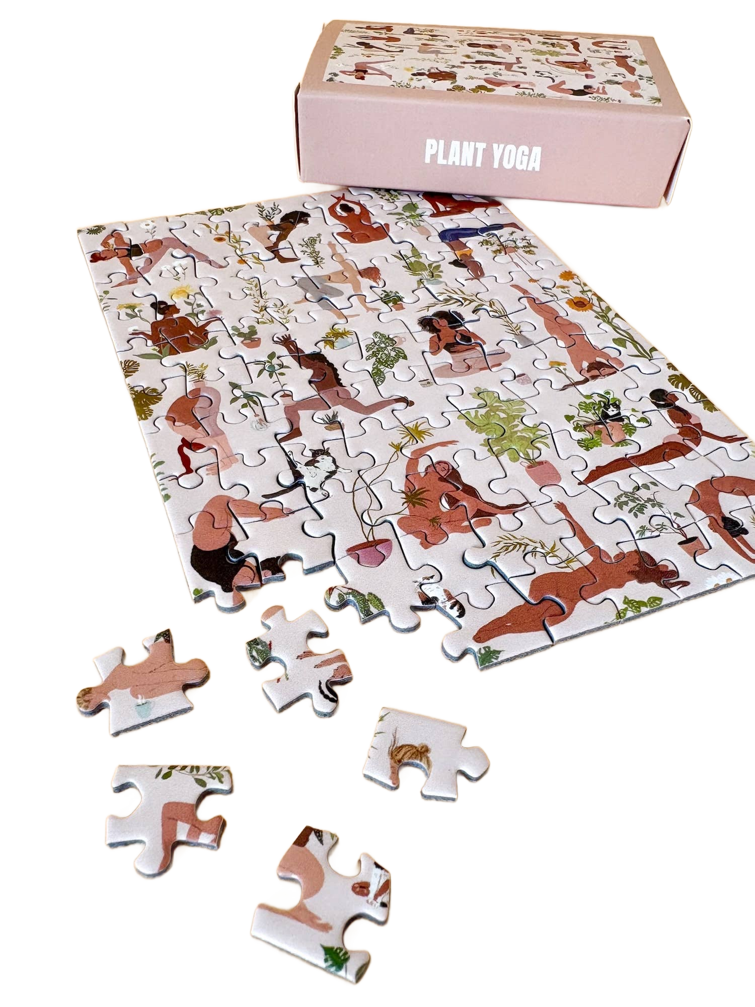 this is a product image